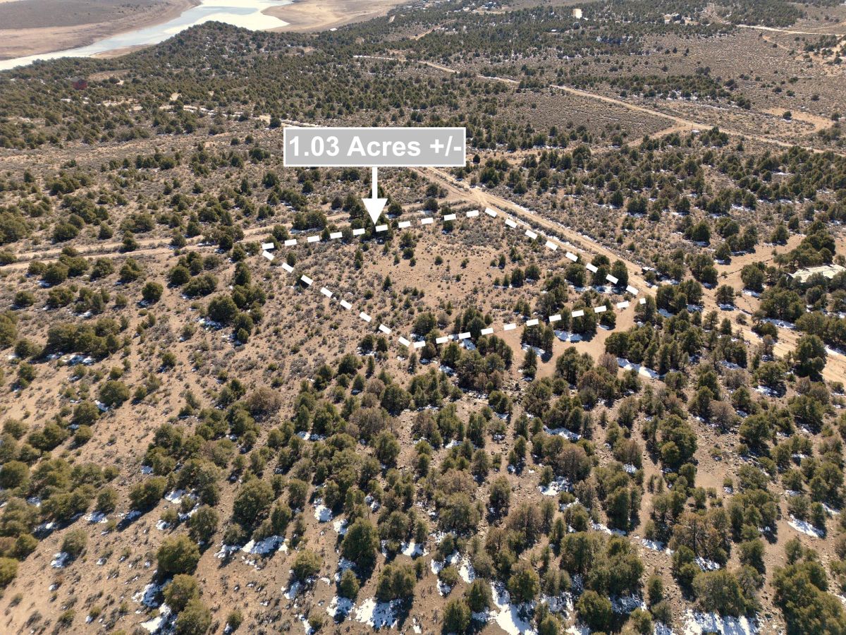 1.03 Acres Land In San Luis CO - Image 3