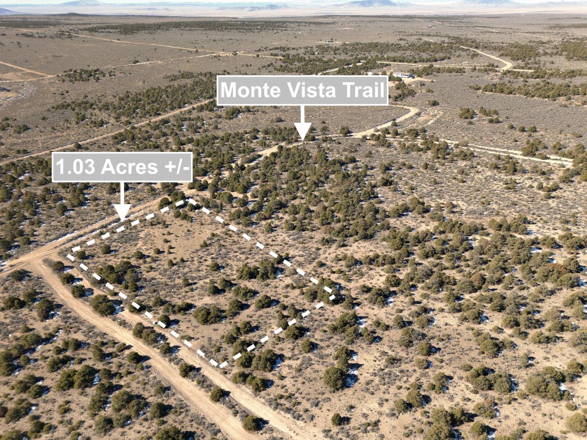 1.03 Acres Land In San Luis CO - Image 4