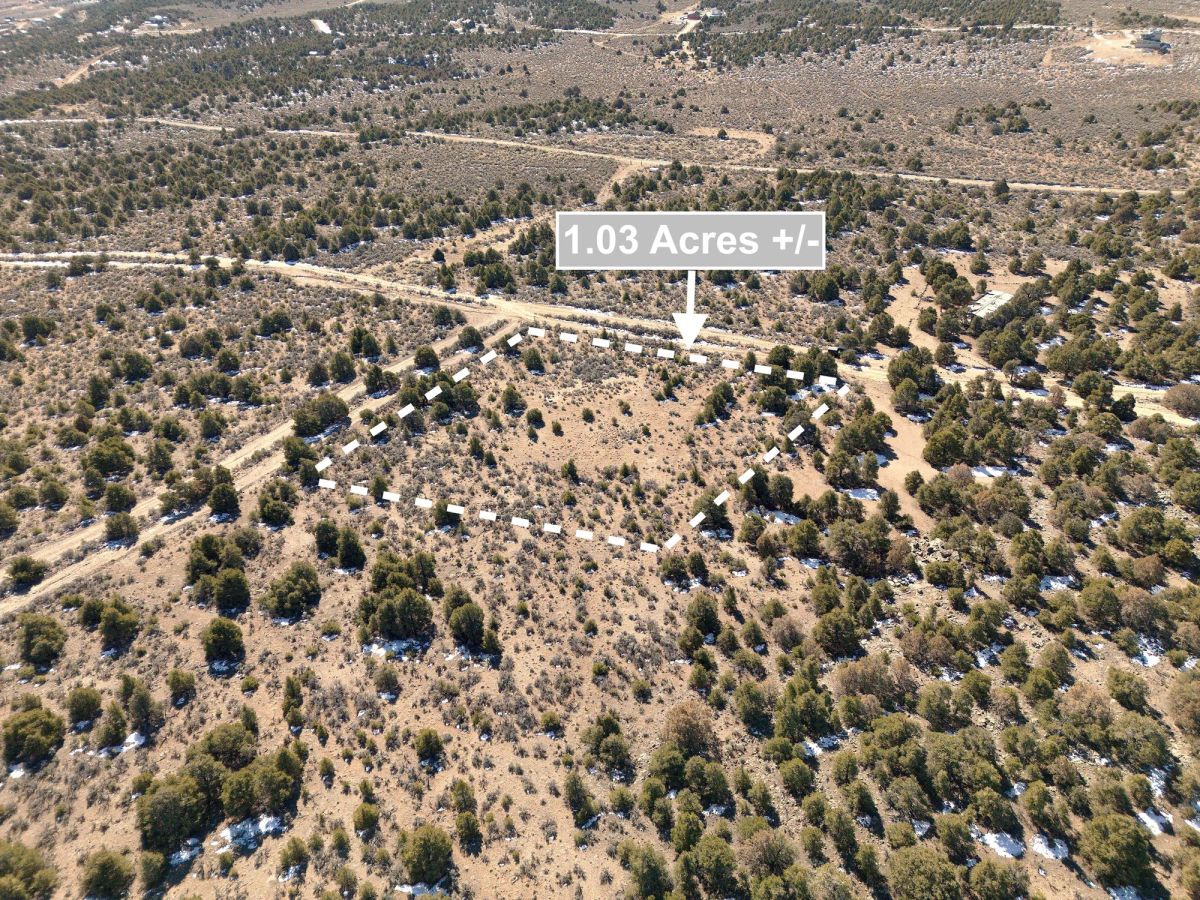 Decorative background for 1.03 Acres Land In San Luis CO image 7