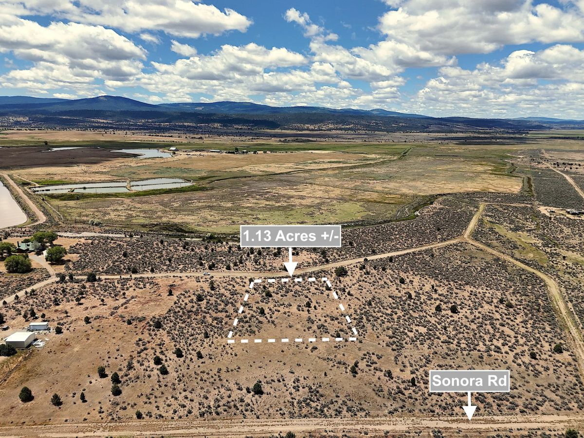 1.13 Acres Land For Sale In Alturas CA - Image 2