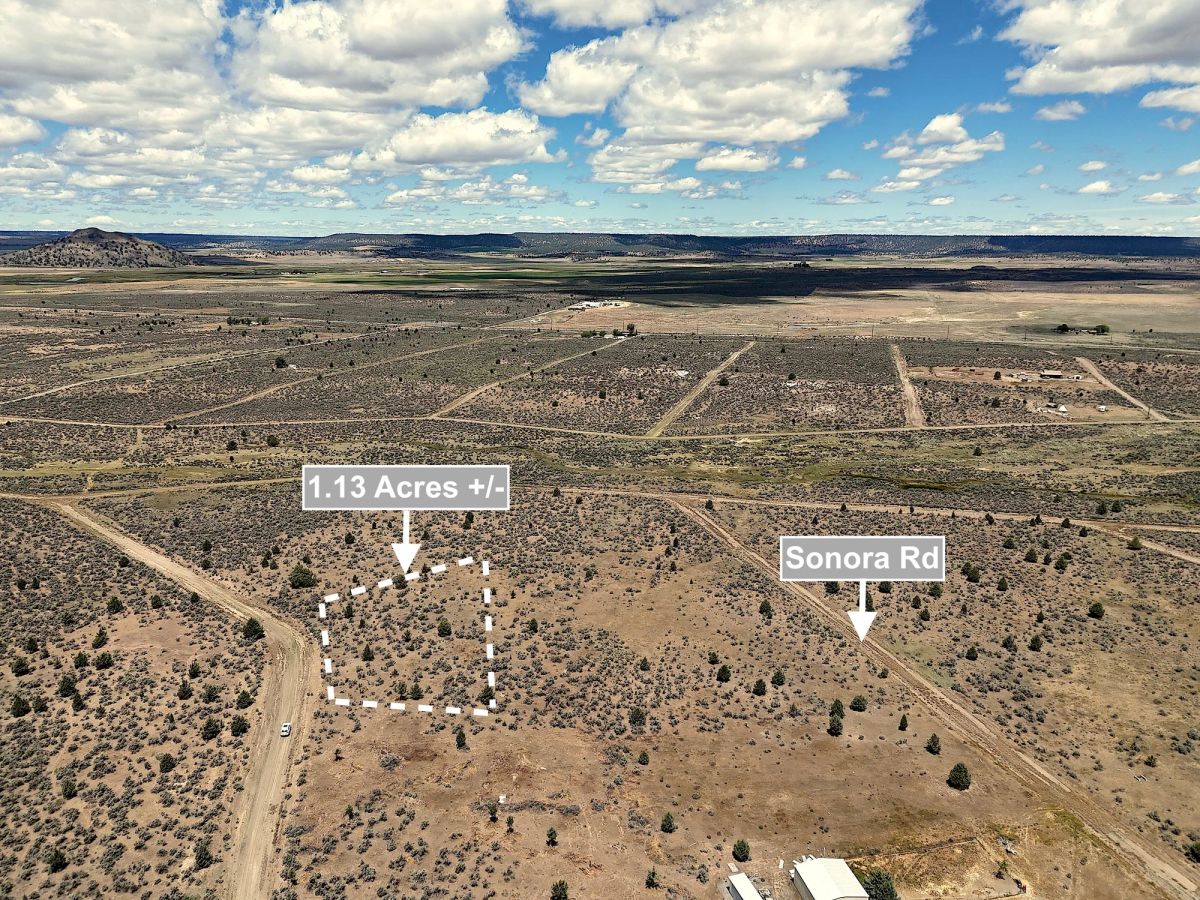 1.13 Acres Land For Sale In Alturas CA - Image 3