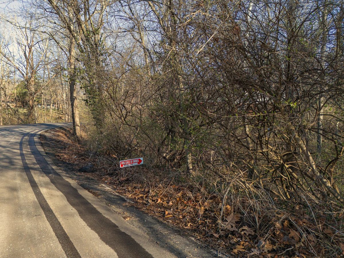 Decorative background for 0.32 Acres Land For Sale In Alton IL image 8