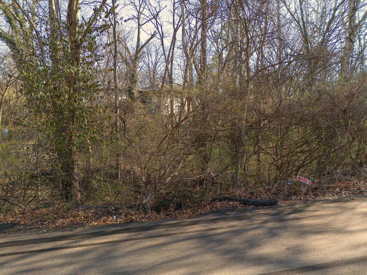 Decorative background for 0.32 Acres Land For Sale In Alton IL image 9
