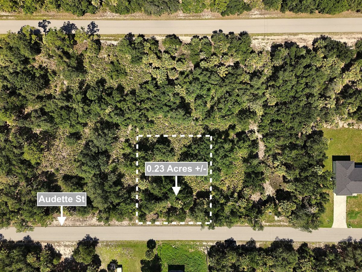 0.23 Acres Land For Sale In Port Charlotte - Image 2