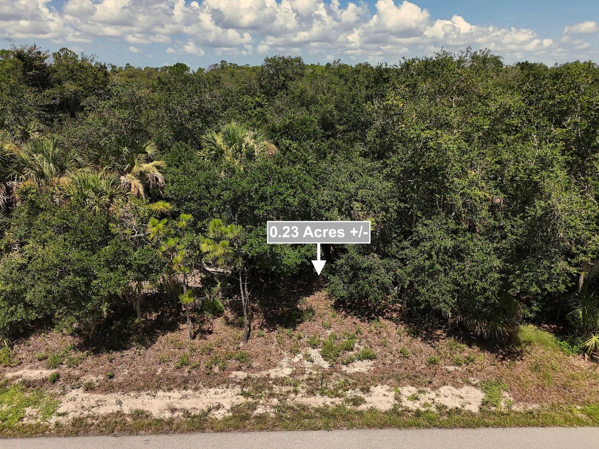 Decorative background for 0.23 Acres Land For Sale In Port Charlotte image 9