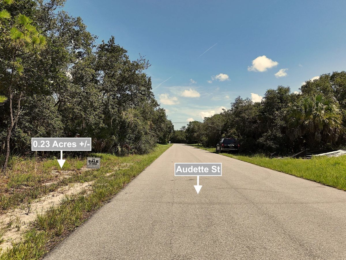 Decorative background for 0.23 Acres Land For Sale In Port Charlotte image 10