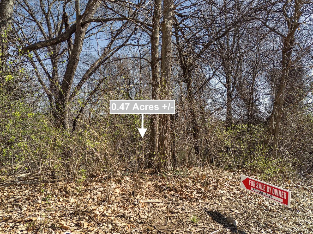 Decorative background for 0.47 Acres Land For Sale In Alton IL image 10