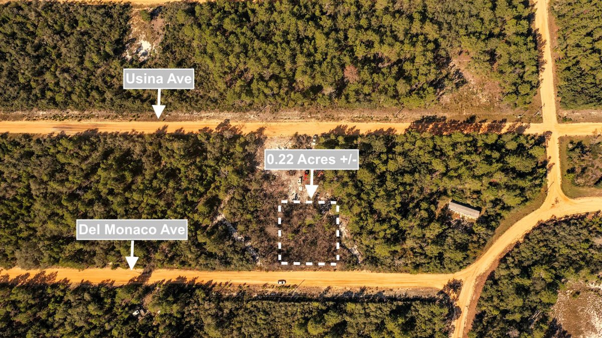 0.22 Acres Land For Sale In Interlachen - Main image