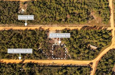 0.22 Acres Land For Sale In Interlachen