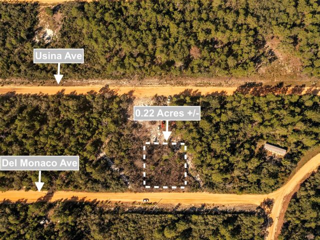 0.22 Acres Land For Sale In Interlachen in Putnam County, FL