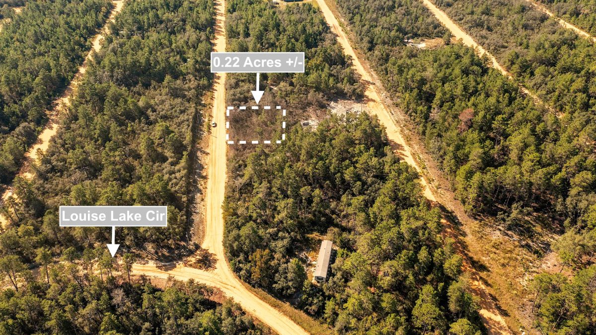 0.22 Acres Land For Sale In Interlachen - Image 2