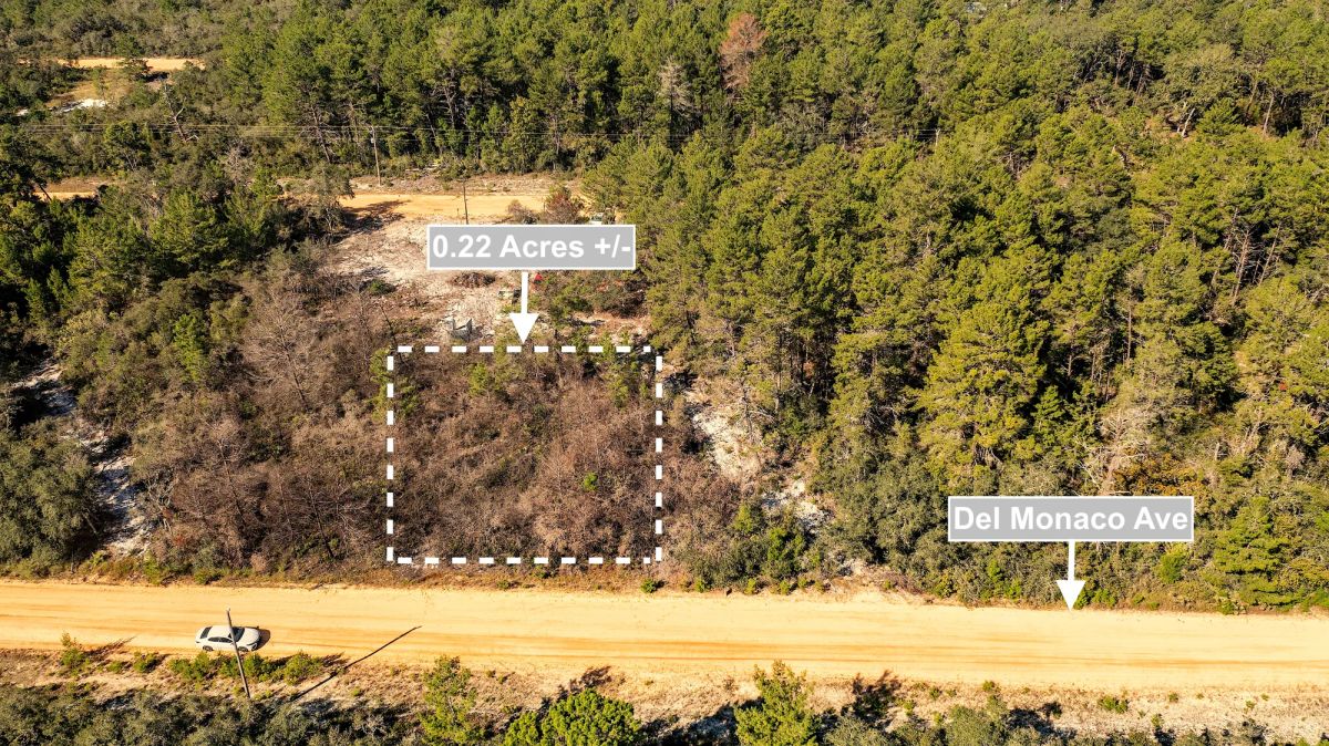 0.22 Acres Land For Sale In Interlachen - Image 3