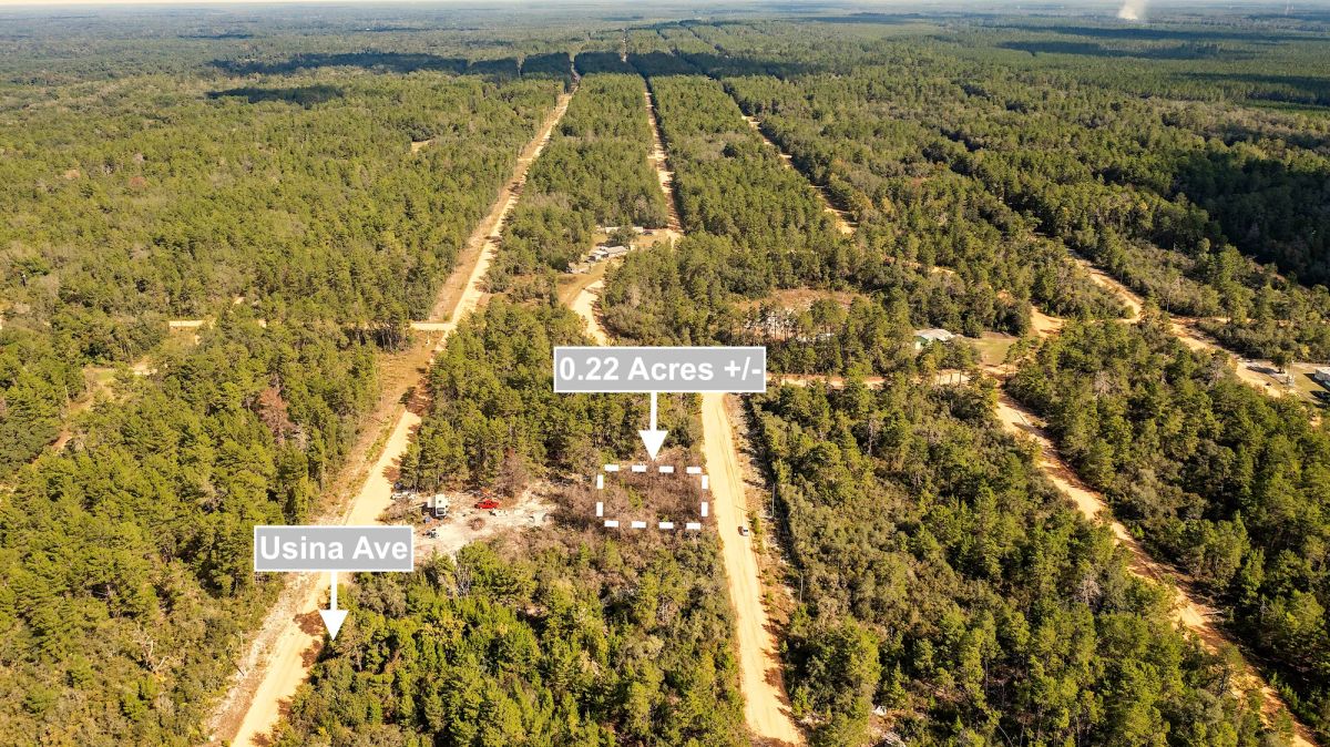 0.22 Acres Land For Sale In Interlachen - Image 4
