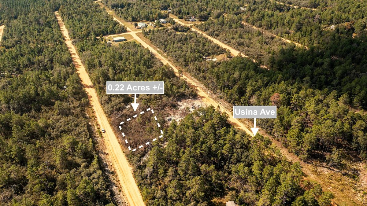 Decorative background for 0.22 Acres Land For Sale In Interlachen image 5