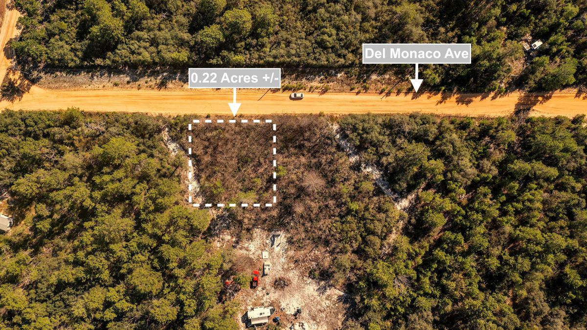Decorative background for 0.22 Acres Land For Sale In Interlachen image 6