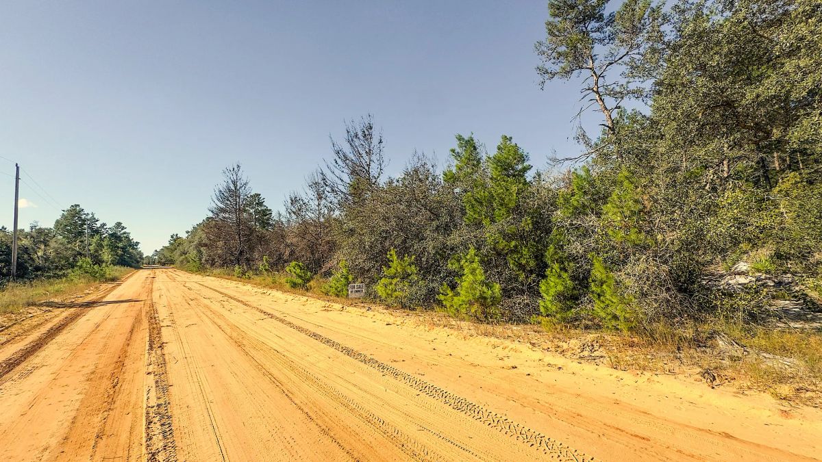 Decorative background for 0.22 Acres Land For Sale In Interlachen image 8