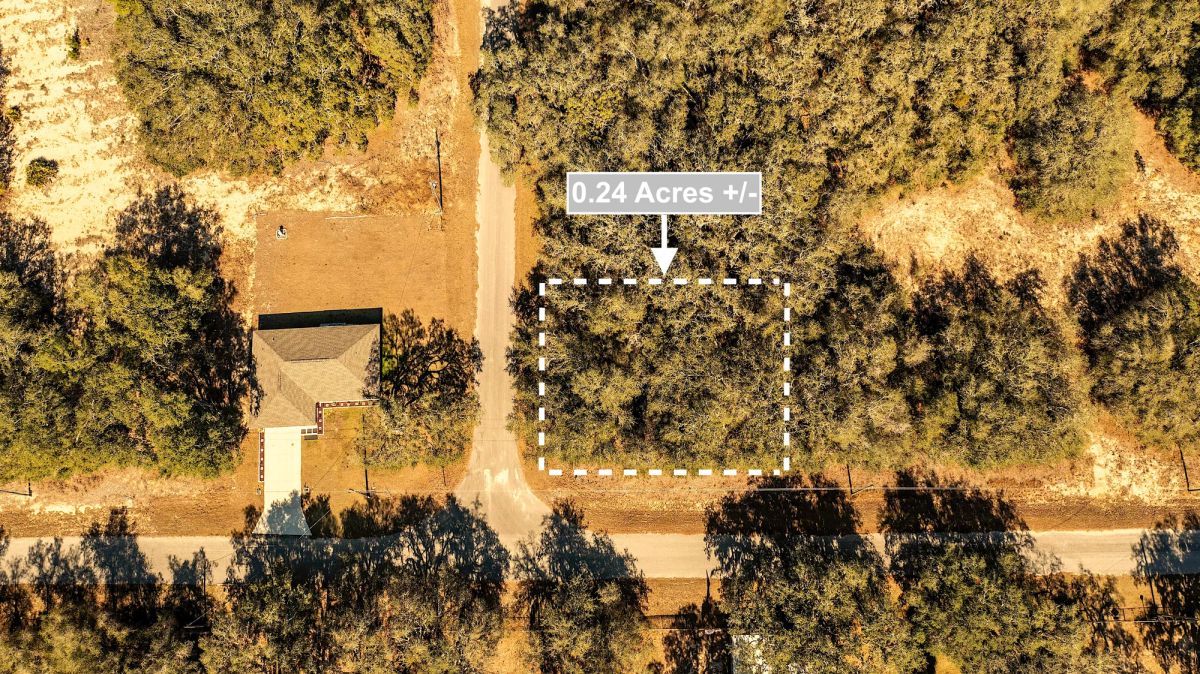 Decorative background for 0.24 Acres Land Near Lake In Ocklawaha image 6