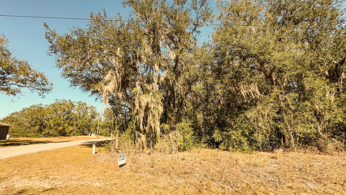 Decorative background for 0.24 Acres Land Near Lake In Ocklawaha image 8