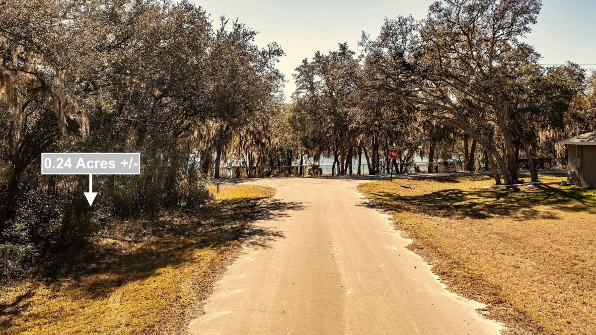 Decorative background for 0.24 Acres Land Near Lake In Ocklawaha image 9