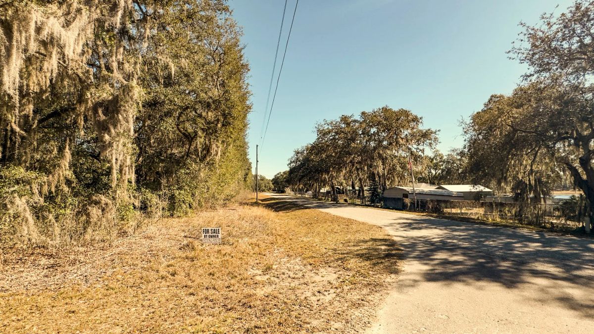 Decorative background for 0.24 Acres Land Near Lake In Ocklawaha image 10