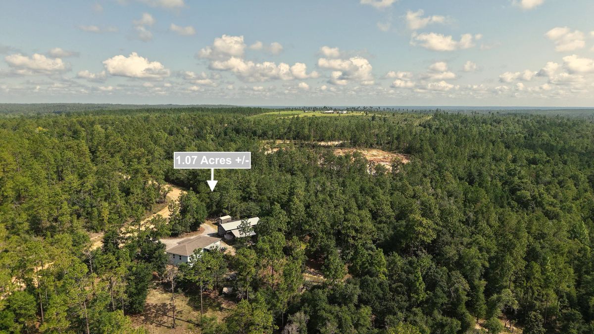 Decorative background for 1.07 Acres Land For Sale In Marianna FL image 5