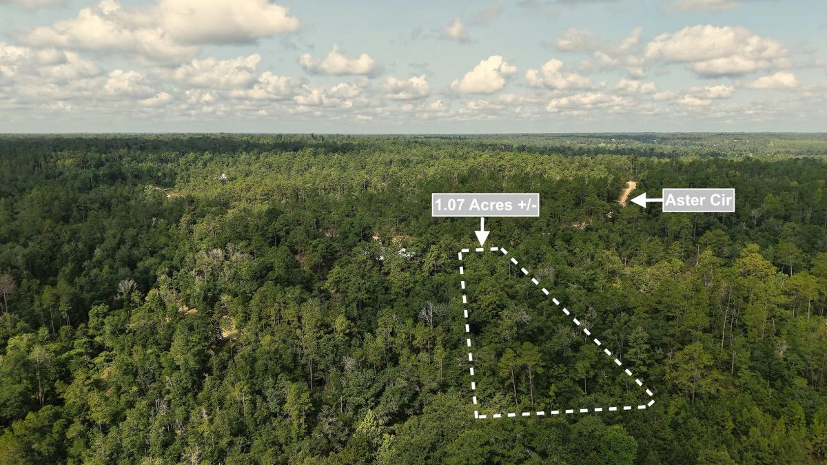 Decorative background for 1.07 Acres Land For Sale In Marianna FL image 7