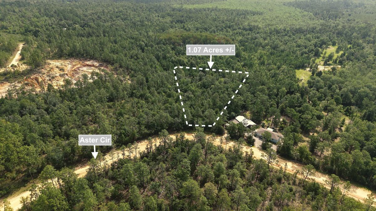 Decorative background for 1.07 Acres Land For Sale In Marianna FL image 8