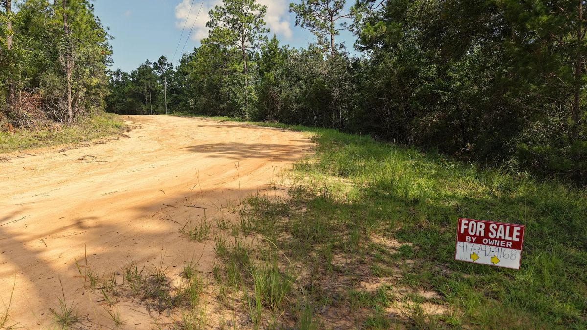 Decorative background for 1.07 Acres Land For Sale In Marianna FL image 9