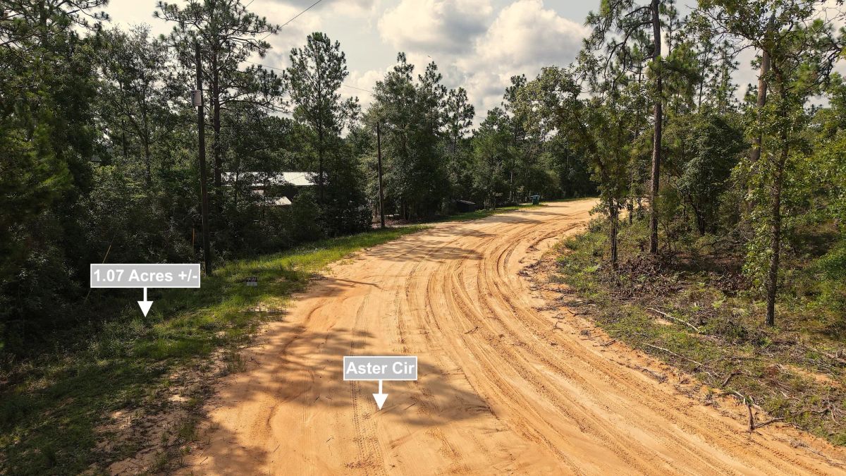 Decorative background for 1.07 Acres Land For Sale In Marianna FL image 10