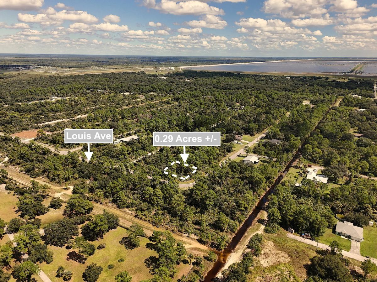 Decorative background for 0.29 Acres Land For Sale In Alva image 5