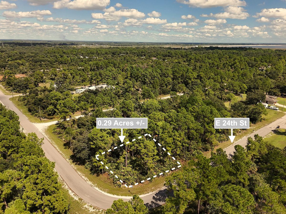 Decorative background for 0.29 Acres Land For Sale In Alva image 8