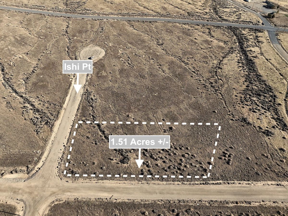 1.51 Acres Land For Sale In Lovelock NV - Image 3