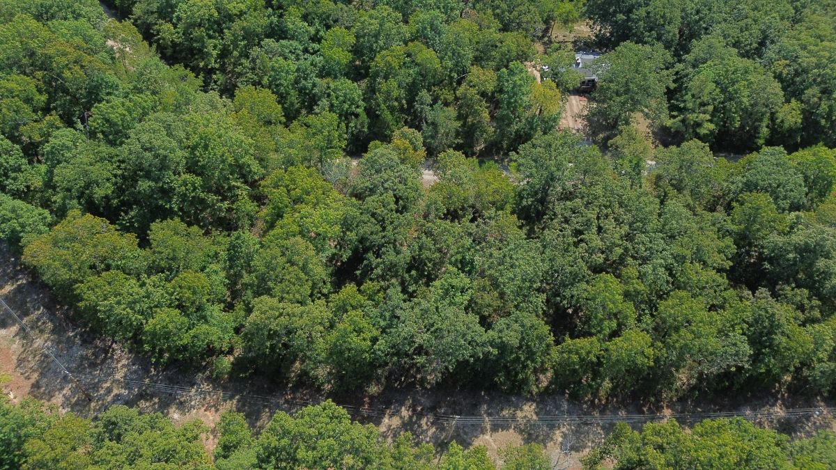 Lake Living Awaits! 0.55 Acres in Horseshoe Bend, AR - Image 2