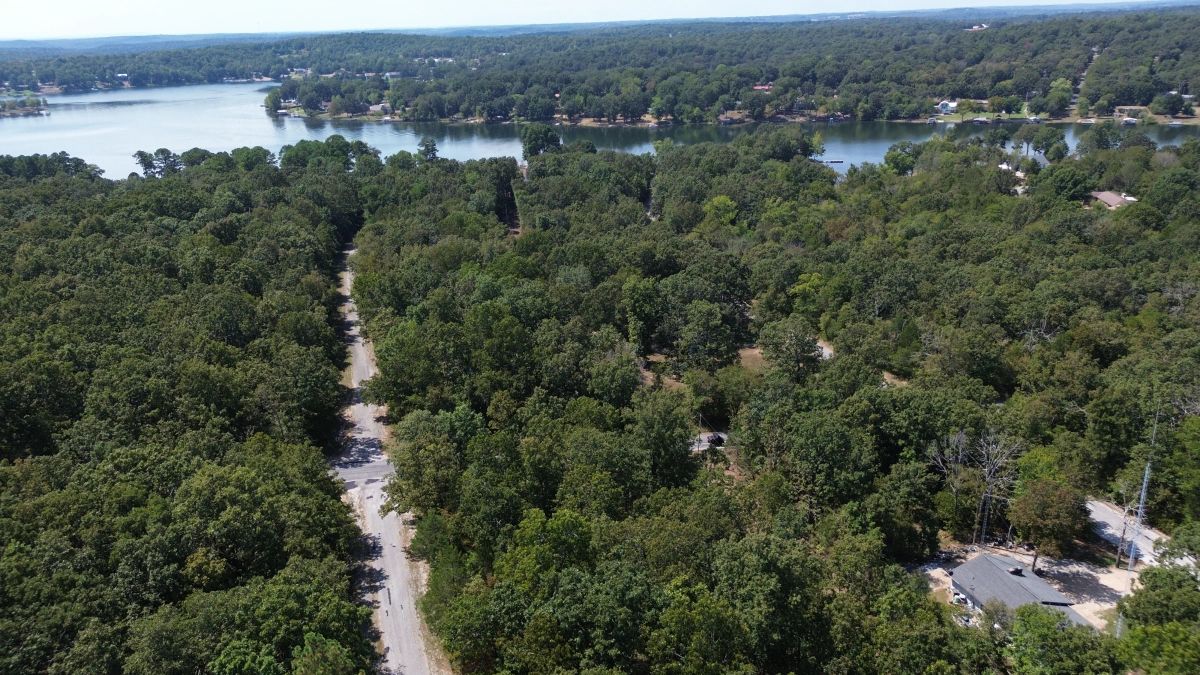 Decorative background for Lake Living Awaits! 0.55 Acres in Horseshoe Bend, AR image 5