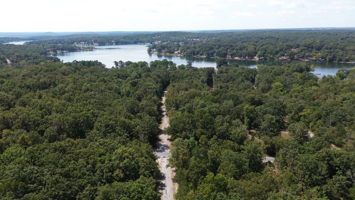Decorative background for Lake Living Awaits! 0.55 Acres in Horseshoe Bend, AR image 6
