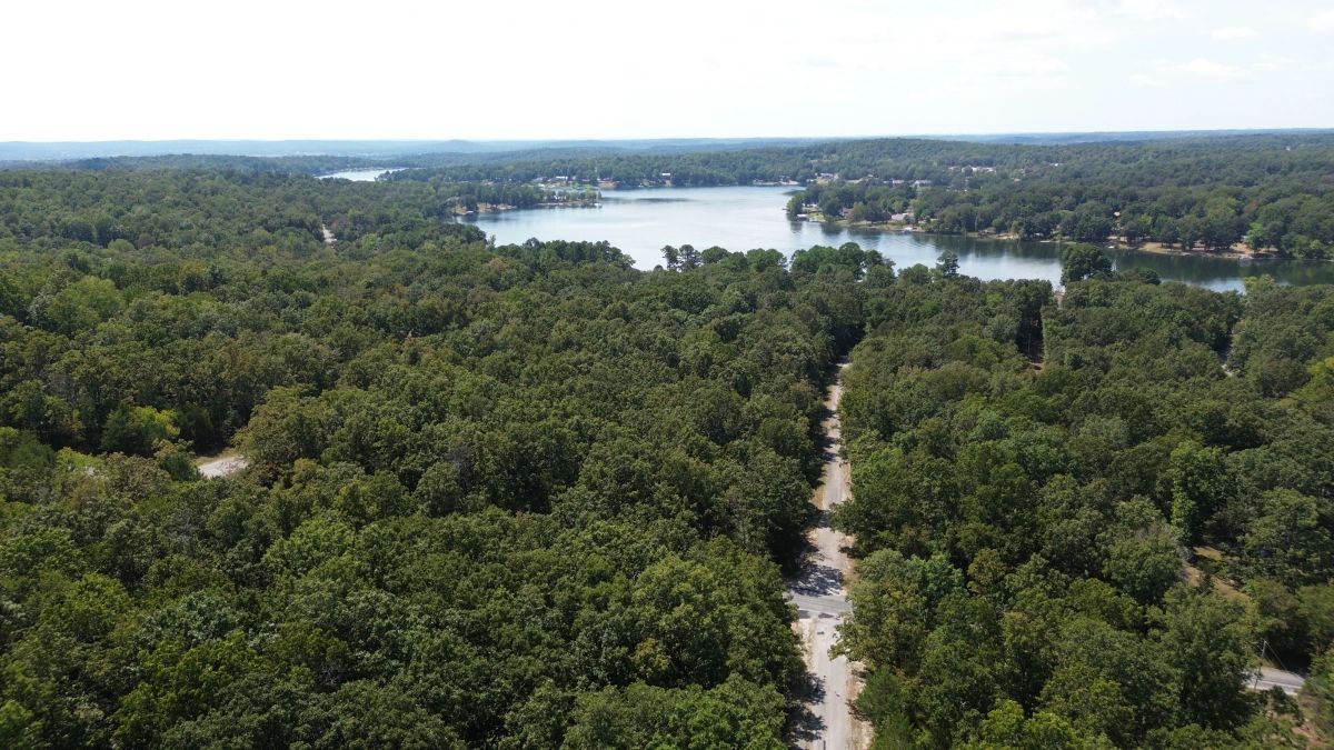 Decorative background for Lake Living Awaits! 0.55 Acres in Horseshoe Bend, AR image 7