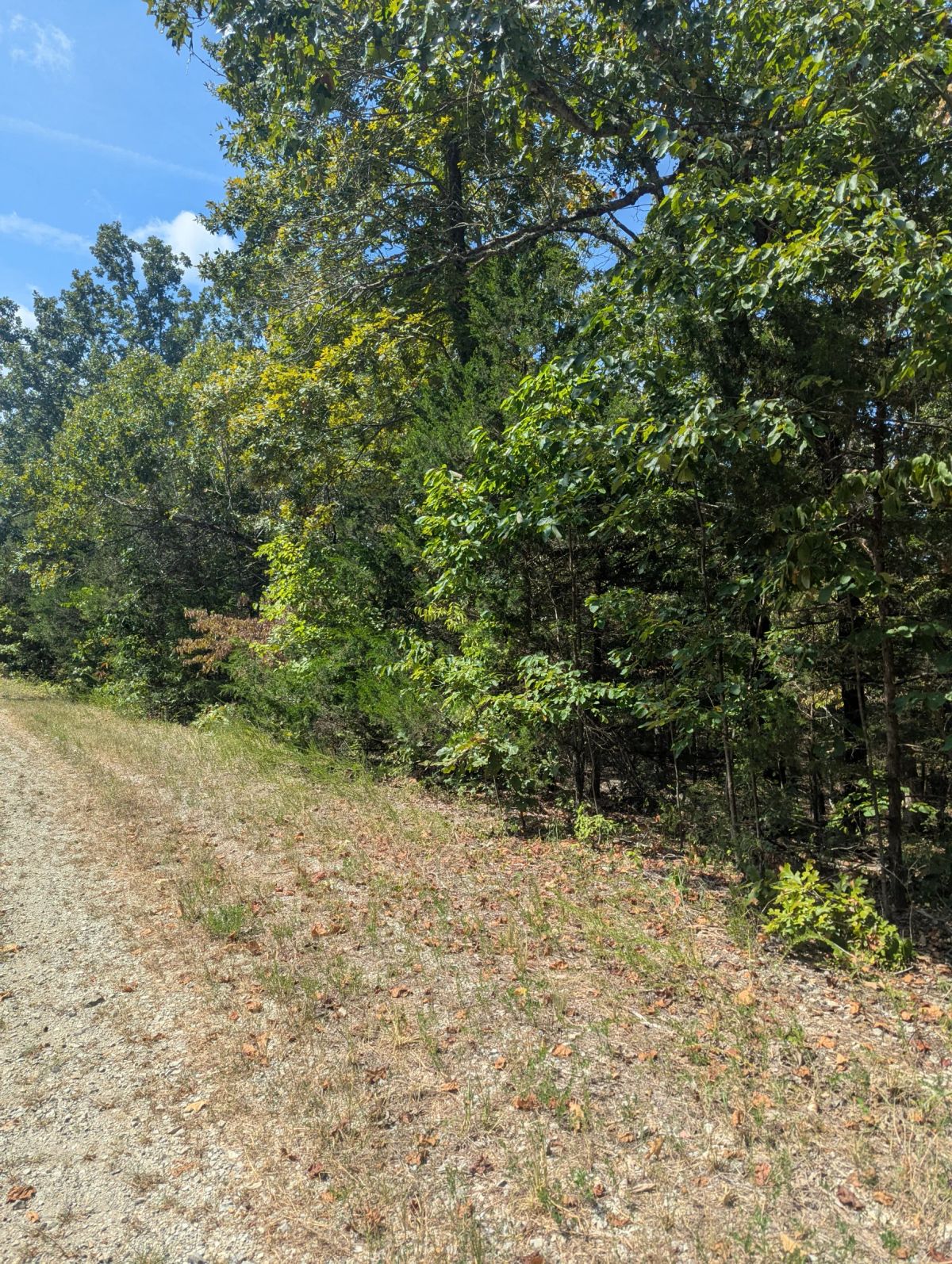 Decorative background for Lake Living Awaits! 0.55 Acres in Horseshoe Bend, AR image 9