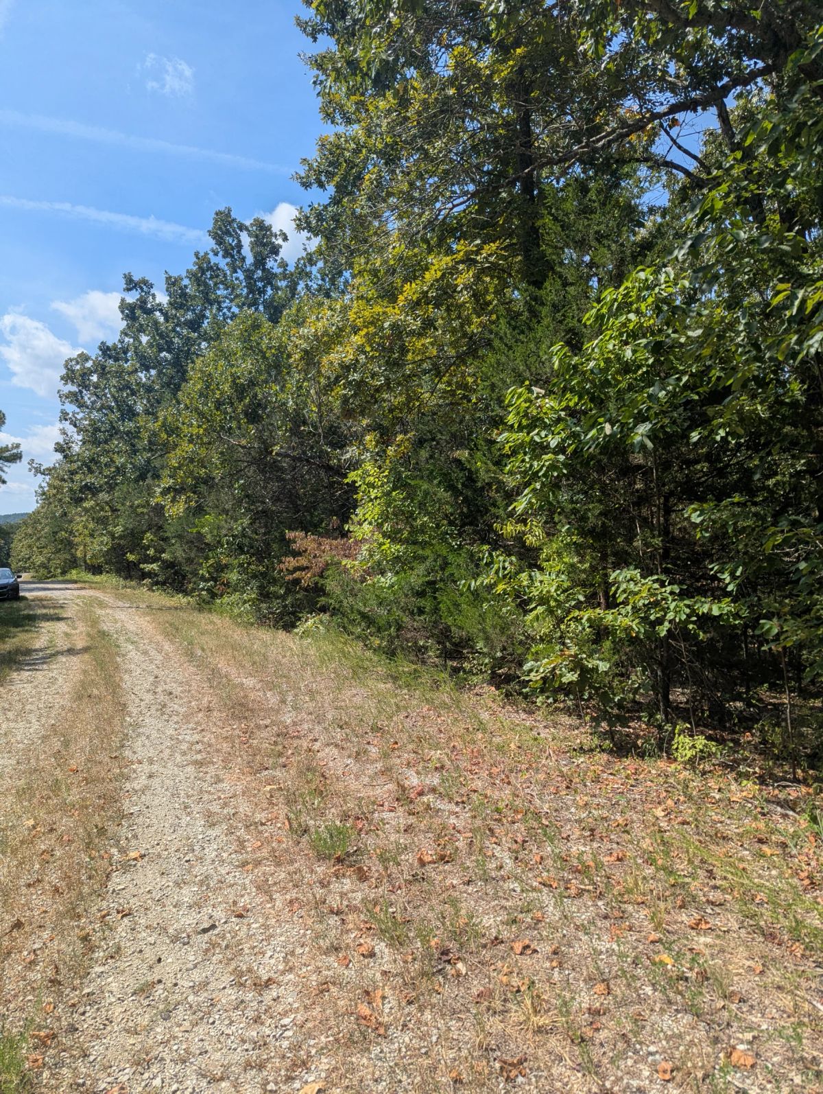 Decorative background for Lake Living Awaits! 0.55 Acres in Horseshoe Bend, AR image 10