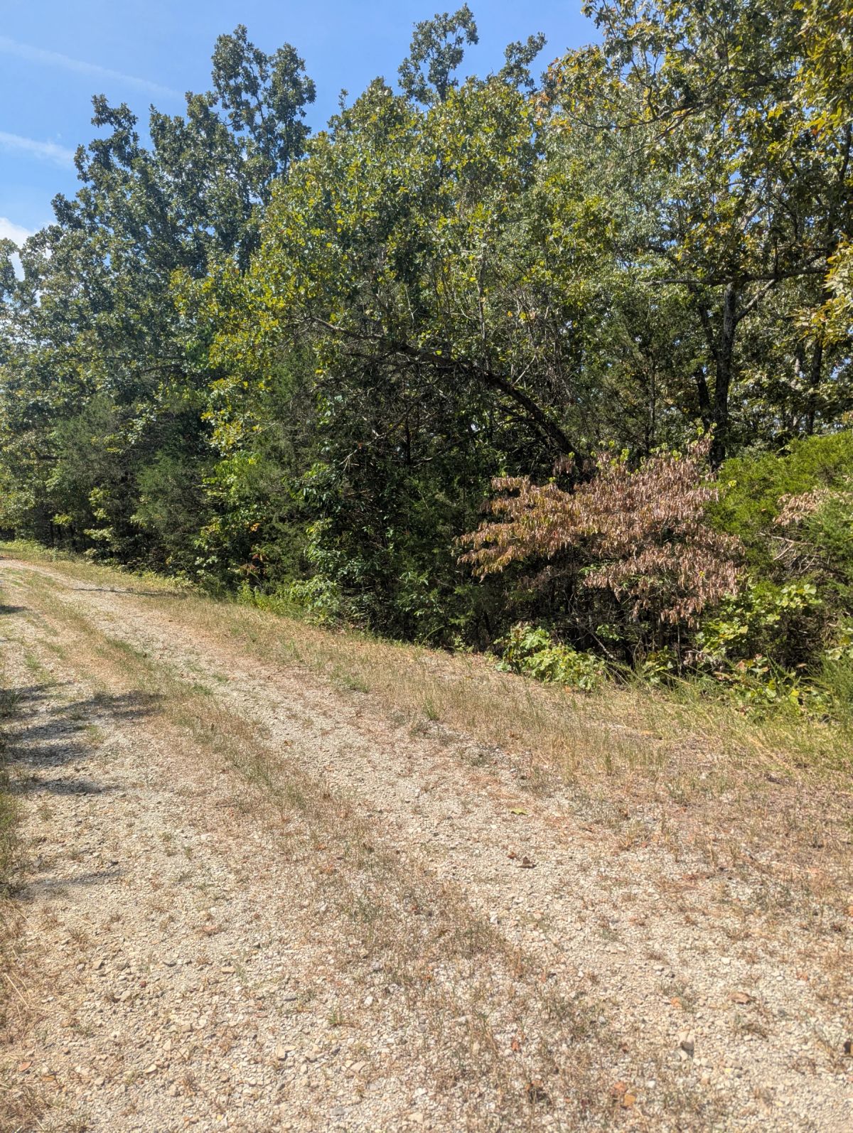 Decorative background for Lake Living Awaits! 0.55 Acres in Horseshoe Bend, AR image 11