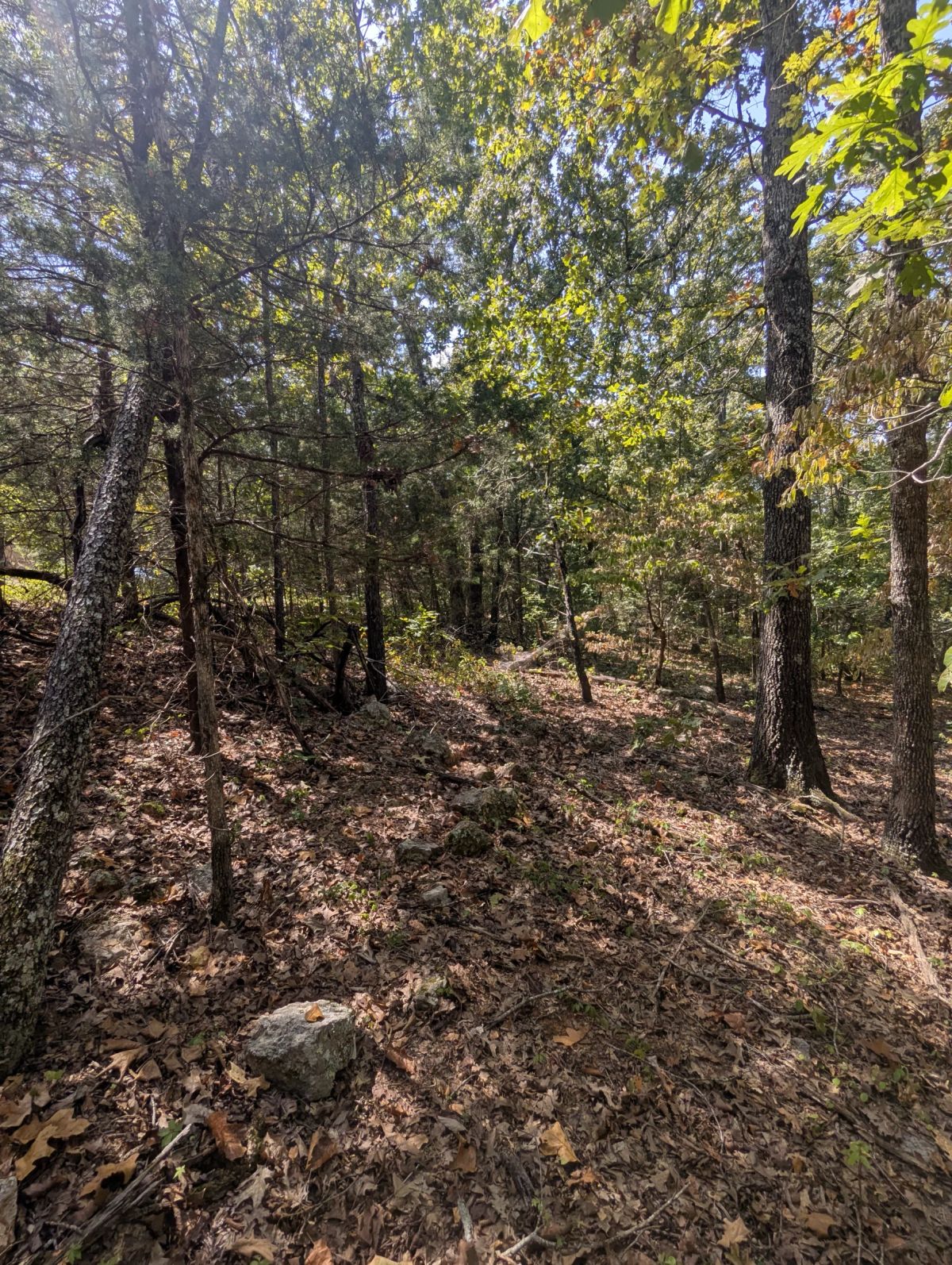 Decorative background for Lake Living Awaits! 0.55 Acres in Horseshoe Bend, AR image 12