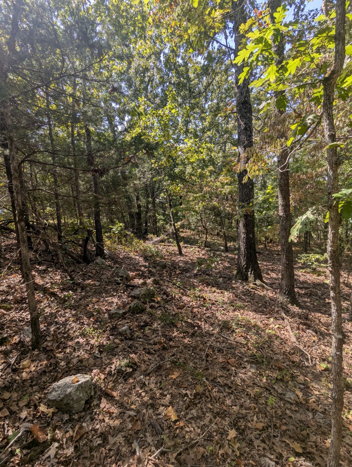 Decorative background for Lake Living Awaits! 0.55 Acres in Horseshoe Bend, AR image 13