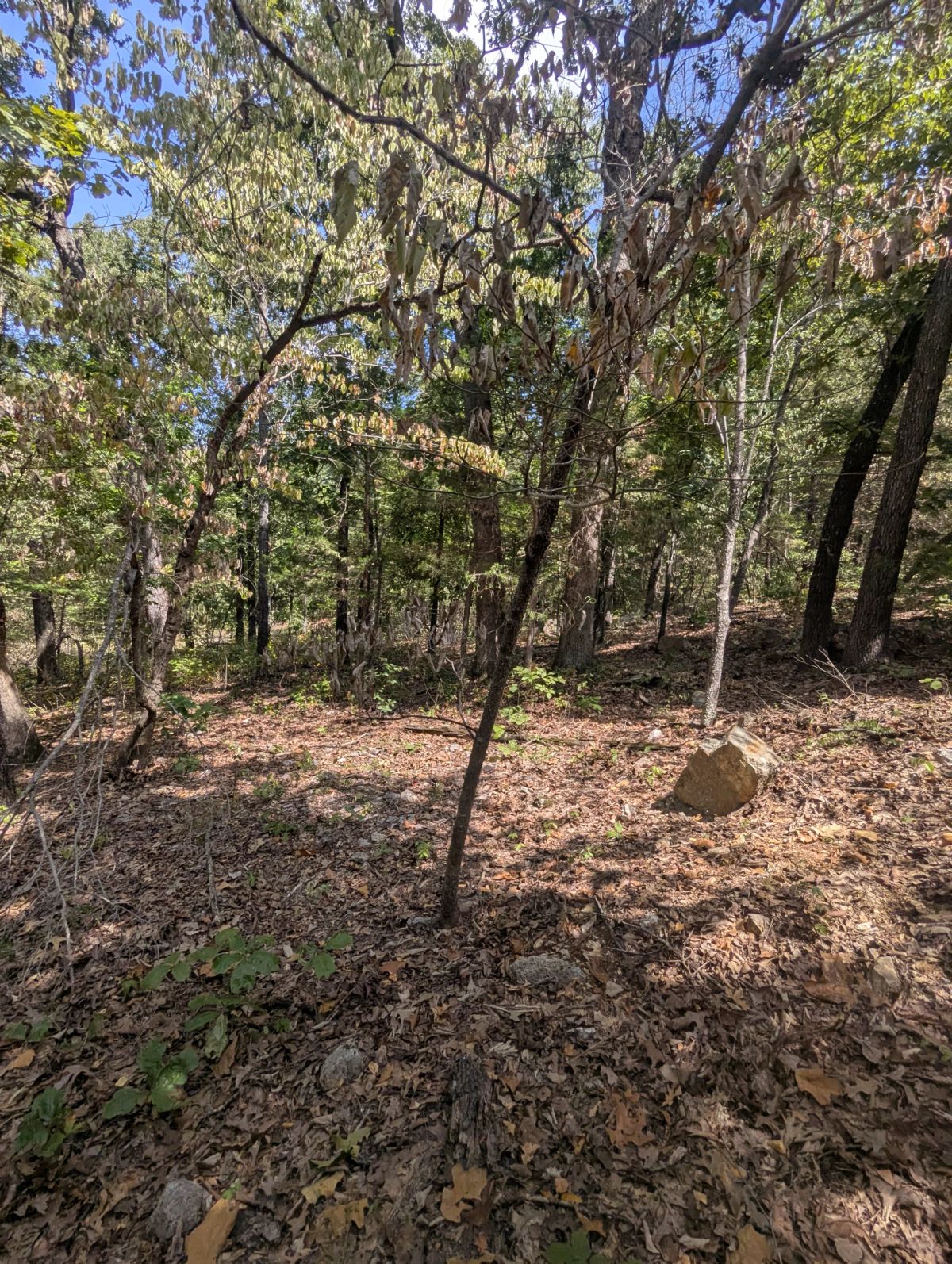 Decorative background for Lake Living Awaits! 0.55 Acres in Horseshoe Bend, AR image 21