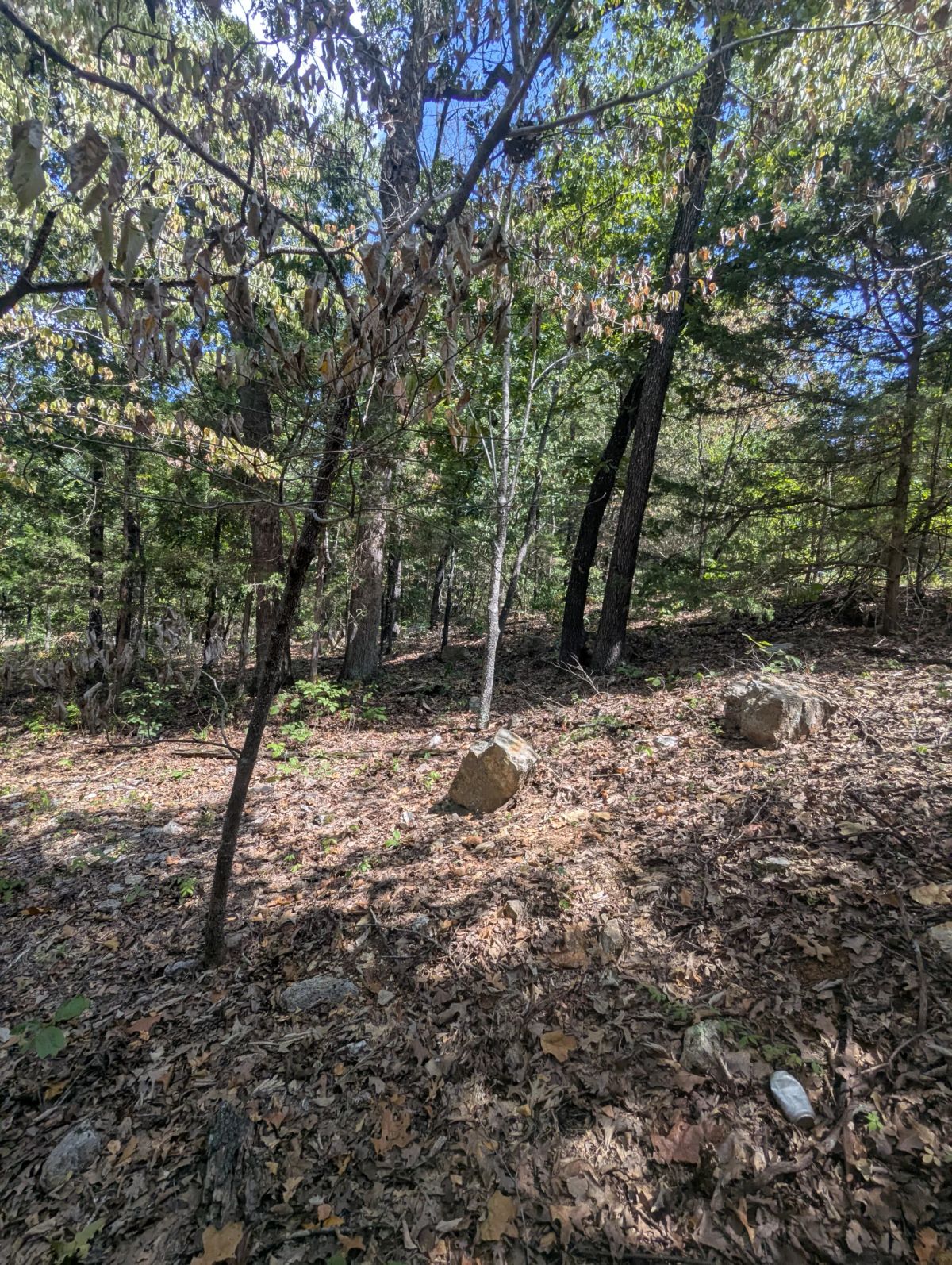 Decorative background for Lake Living Awaits! 0.55 Acres in Horseshoe Bend, AR image 22