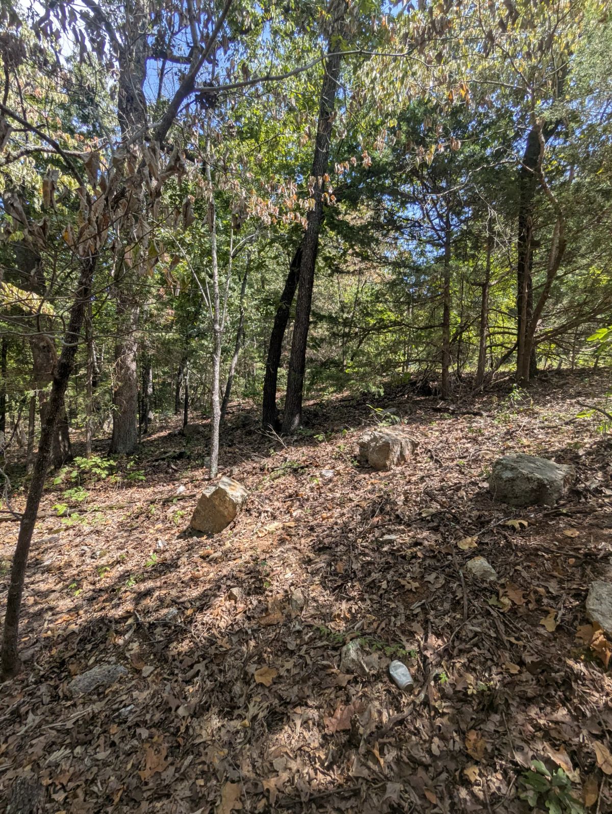 Decorative background for Lake Living Awaits! 0.55 Acres in Horseshoe Bend, AR image 23