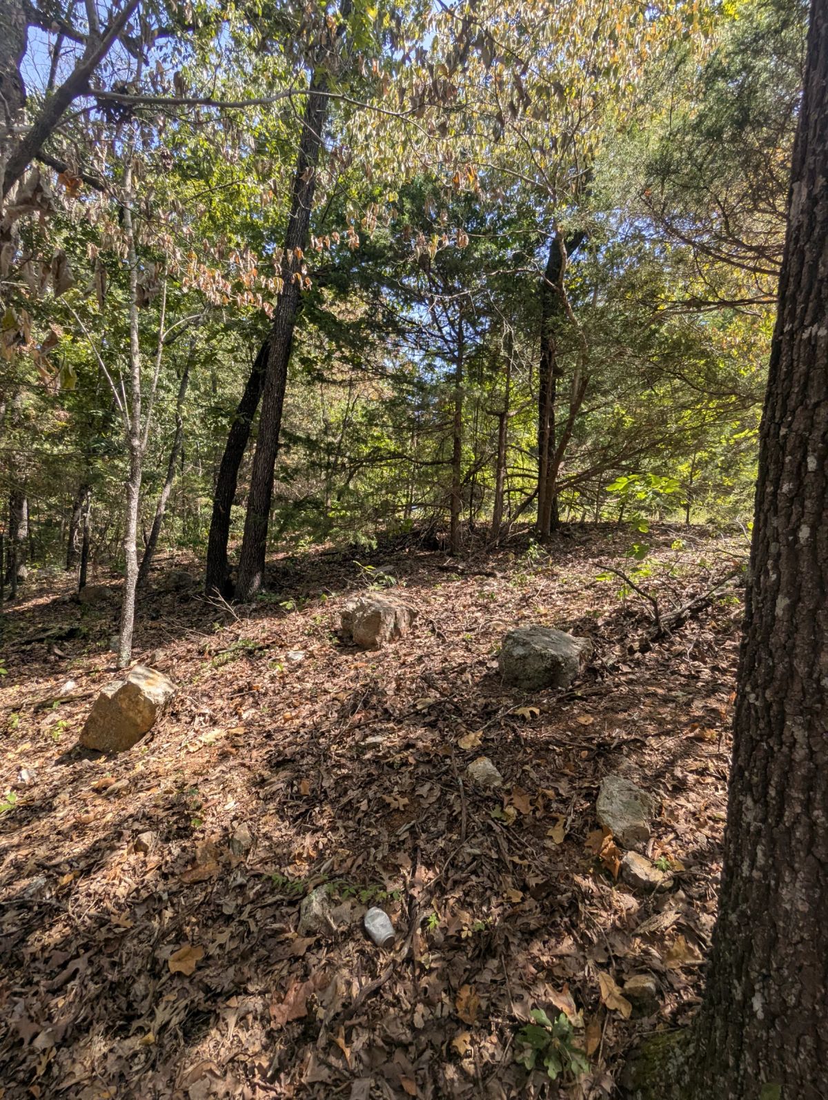 Decorative background for Lake Living Awaits! 0.55 Acres in Horseshoe Bend, AR image 24