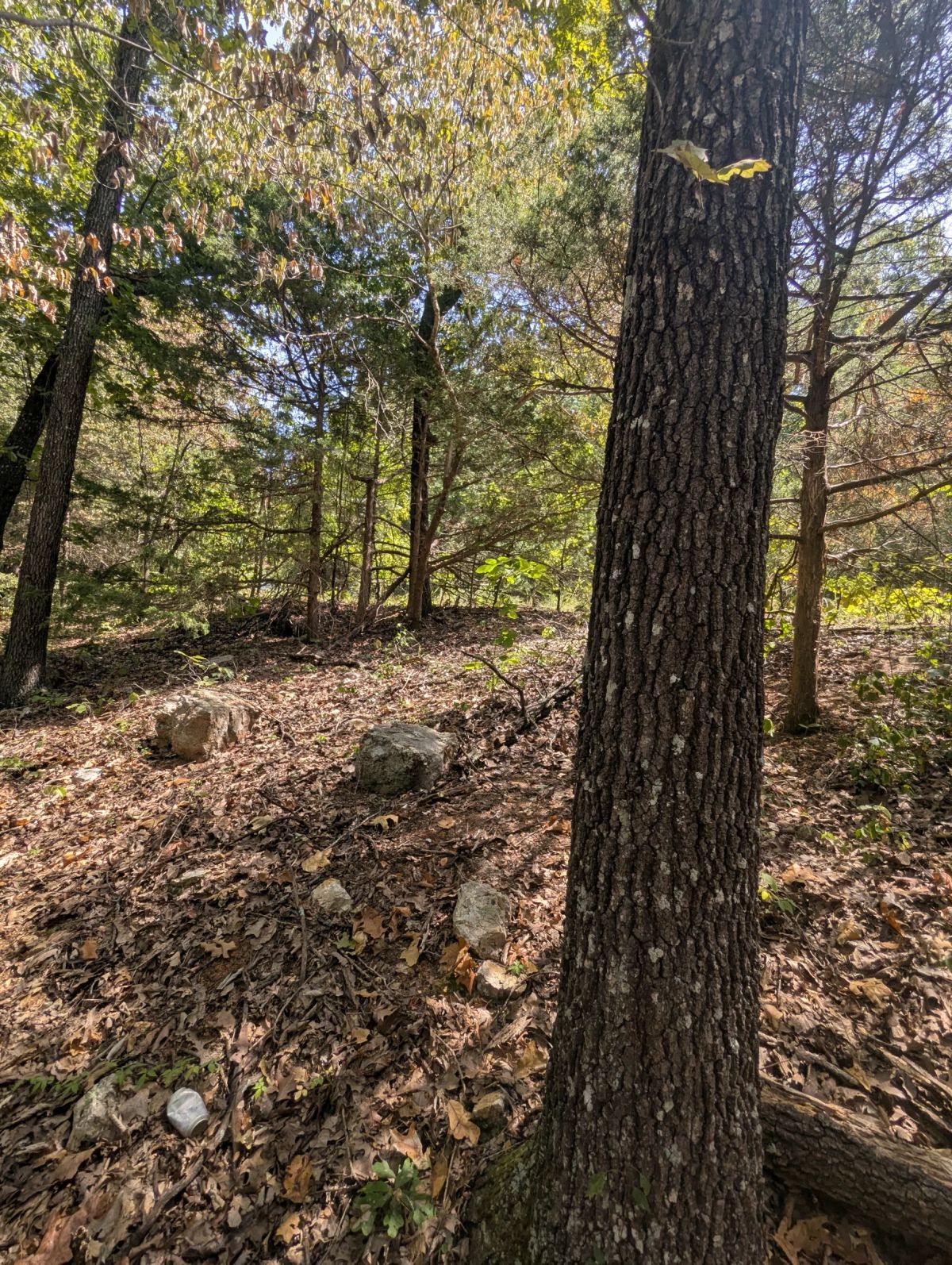 Decorative background for Lake Living Awaits! 0.55 Acres in Horseshoe Bend, AR image 25