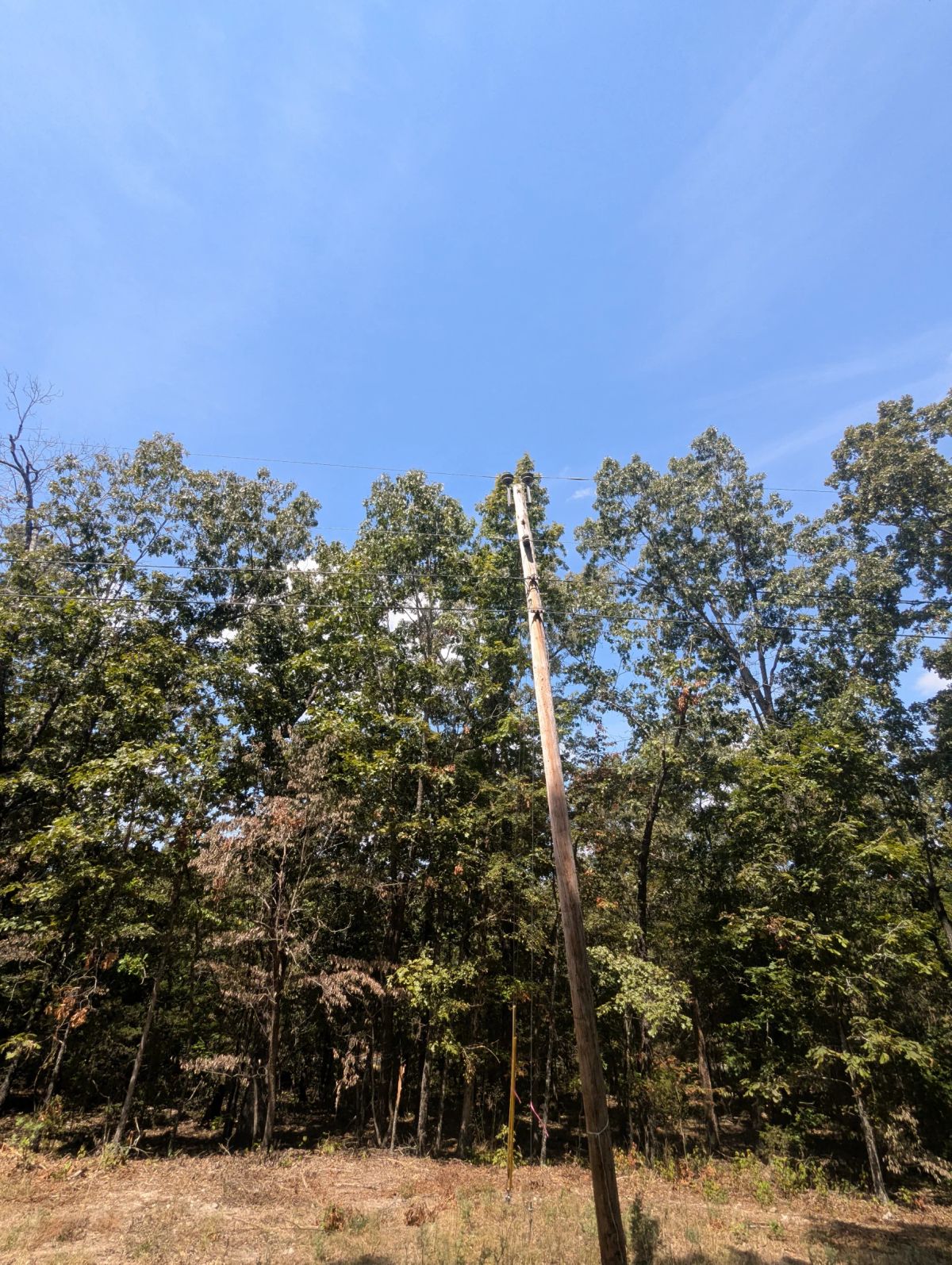Decorative background for Lake Living Awaits! 0.55 Acres in Horseshoe Bend, AR image 26