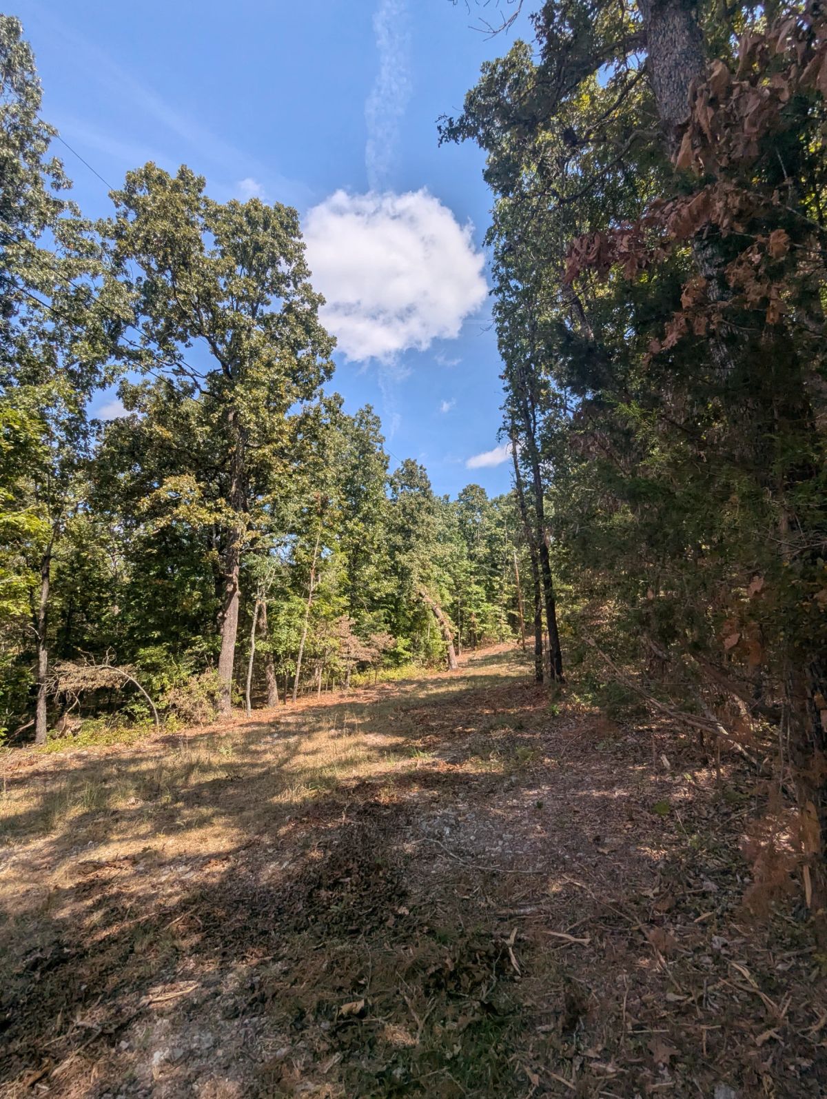 Decorative background for Lake Living Awaits! 0.55 Acres in Horseshoe Bend, AR image 27