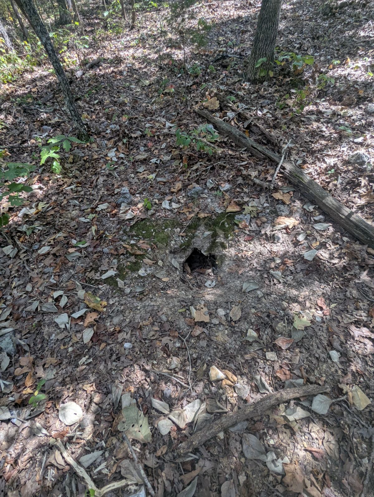 Decorative background for Lake Living Awaits! 0.55 Acres in Horseshoe Bend, AR image 28