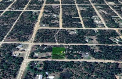 No HOA, No Flood Zone - 0.46 Acres
